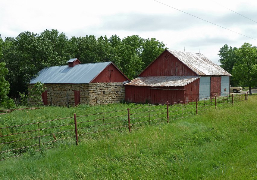 P1000389.jpg