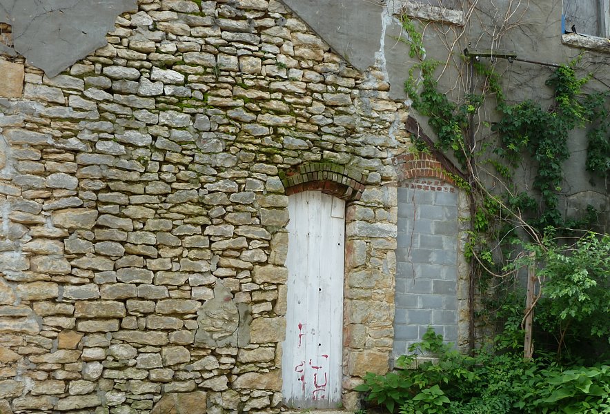 P1000438.jpg