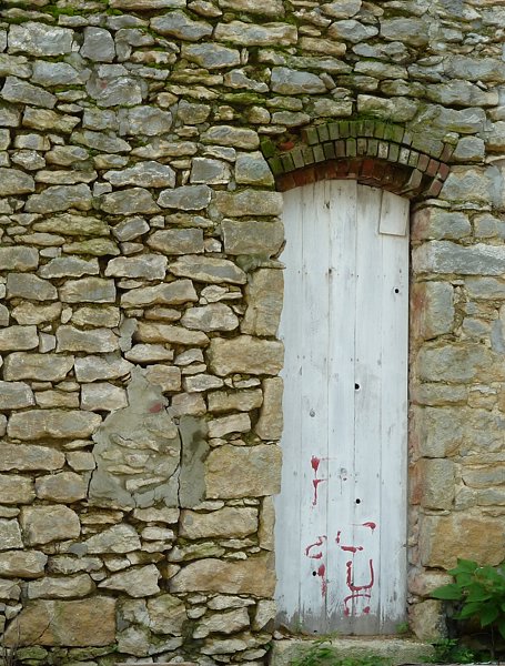 P1000441.jpg