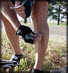 P1000117.jpg