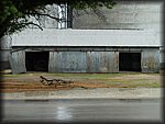 P1000192.jpg
