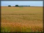 P1000217.jpg