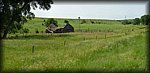 P1000281.jpg