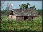 P1000366.jpg