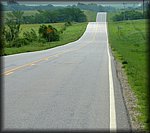 P1000377.jpg