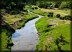 IMG_0967.JPG