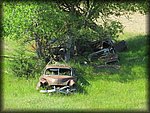 IMG_0970.JPG