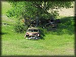 IMG_0971.JPG