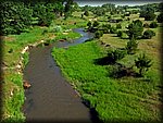IMG_0973.JPG