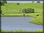 IMG_0990.JPG