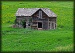 IMG_1010_ret.jpg