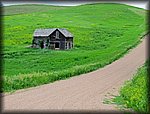 IMG_1011.JPG