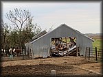 IMG_1042.JPG