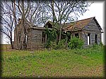 IMG_1046.JPG