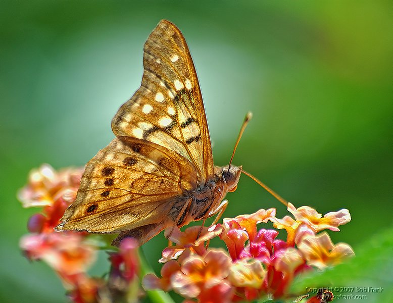 DSC_1331.jpg