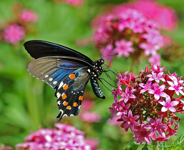 DSC_1409.jpg