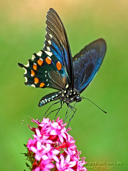 DSC_1423.jpg