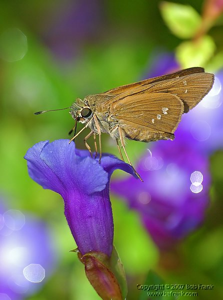 DSC_1448.jpg