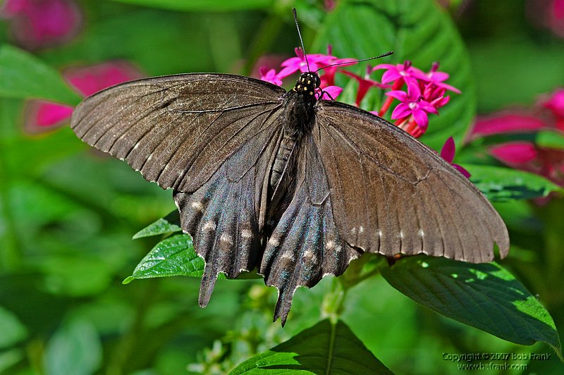 DSC_2061.jpg