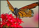 DSC_1440.jpg
