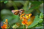 DSC_1892.jpg