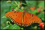 DSC_1934.jpg