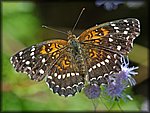DSC_2182.jpg
