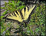 IMGP2684_rev.jpg