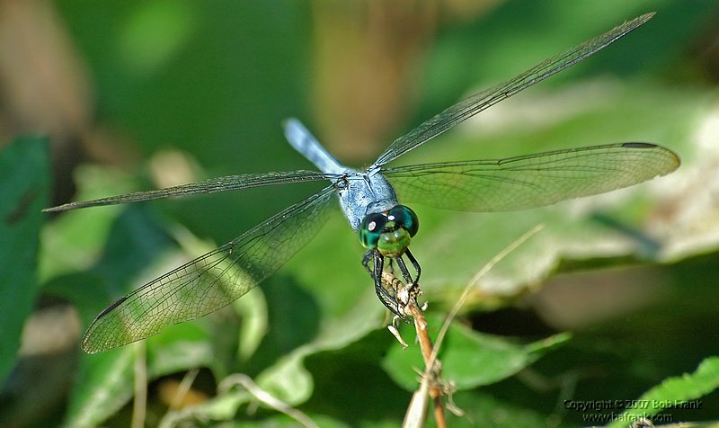 DSC_0615.jpg