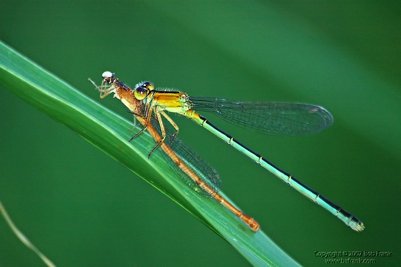 DSC_0850.jpg