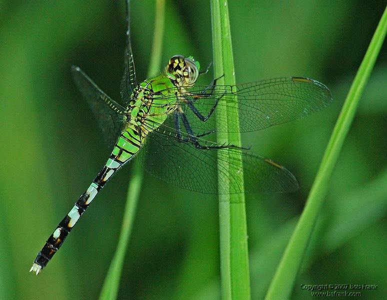DSC_0857.jpg