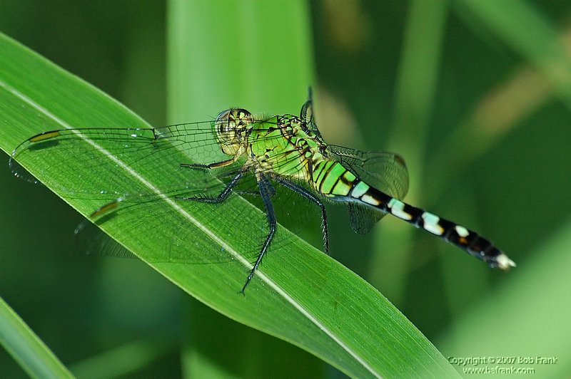 DSC_0858.jpg