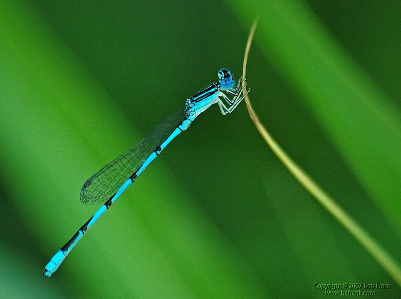 DSC_0867.jpg
