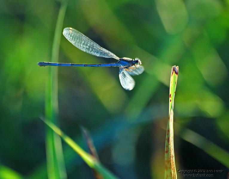 DSC_1567.jpg