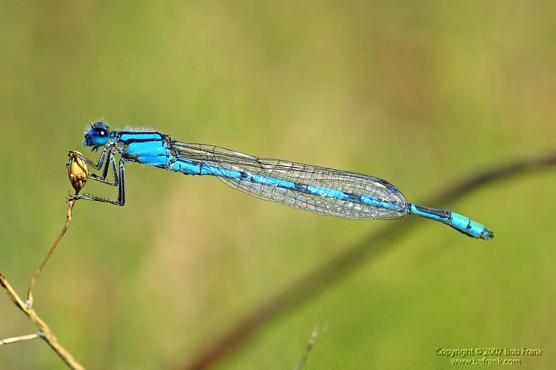 DSC_2234.jpg