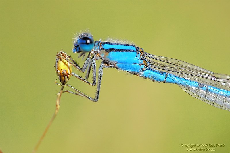 DSC_2238.jpg