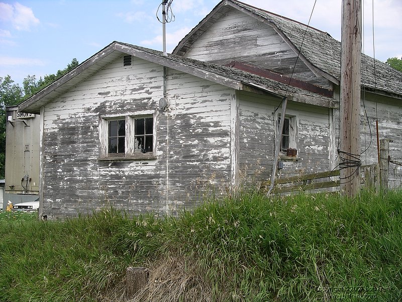 IMGP0153.JPG
