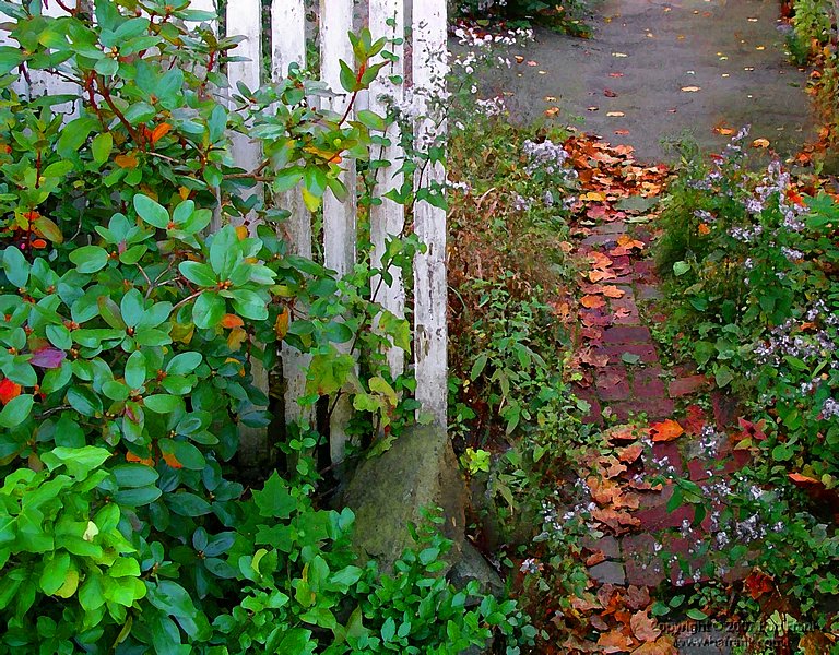 fence_drybrush.jpg