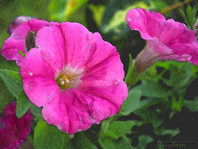 flower_Painting.jpg