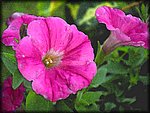 flower_Painting.jpg