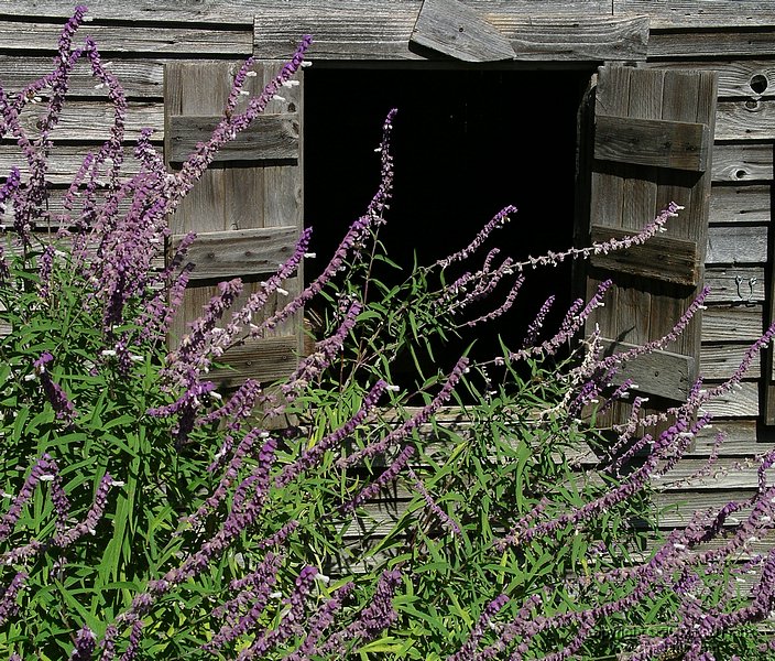 old_building.jpg