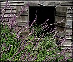old_building.jpg