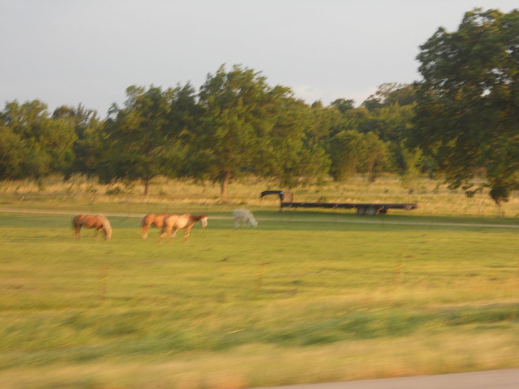 112.JPG