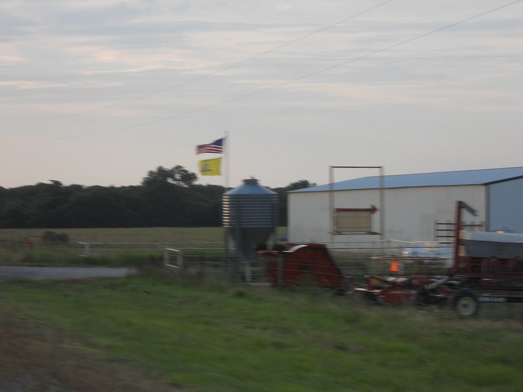 115.JPG