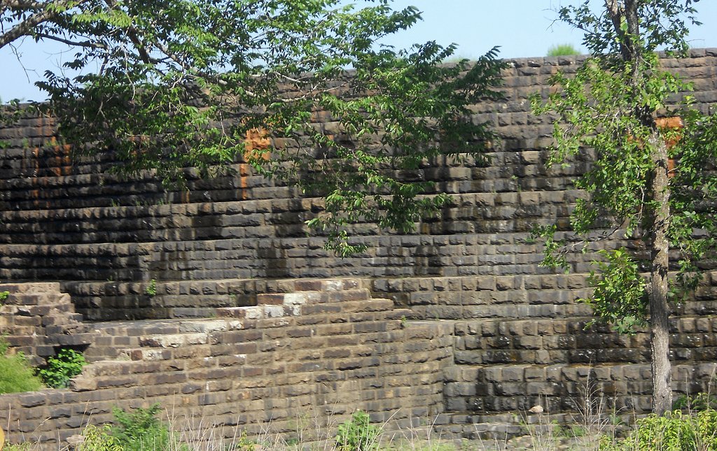 157.JPG