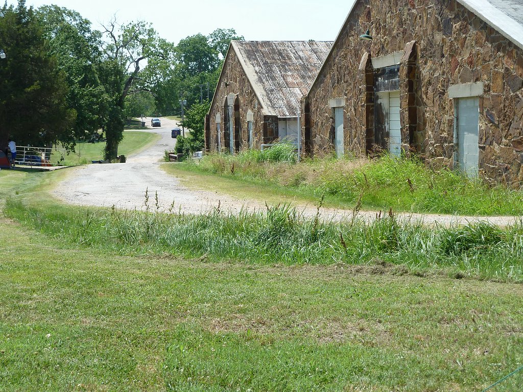 P1020627.JPG