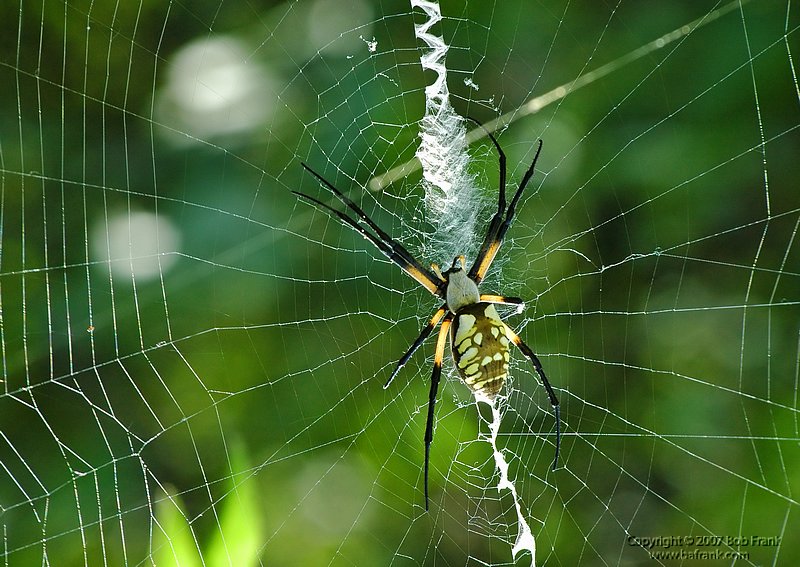 DSC_0425.jpg