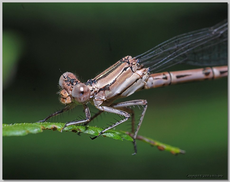 DSC_0034.jpg