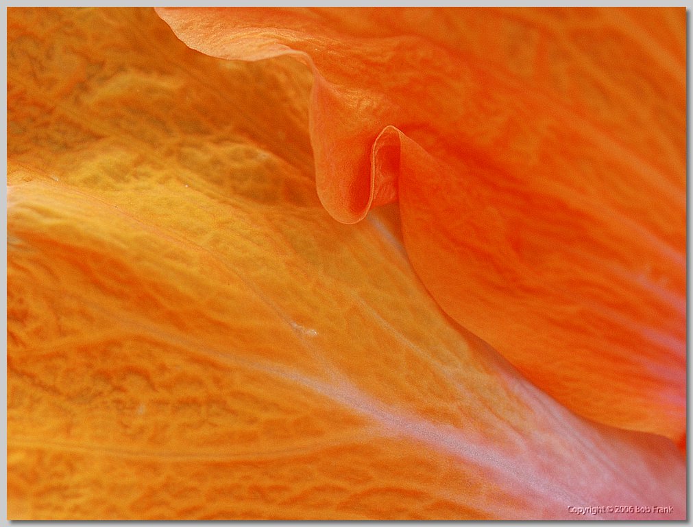 DSC_0056.jpg