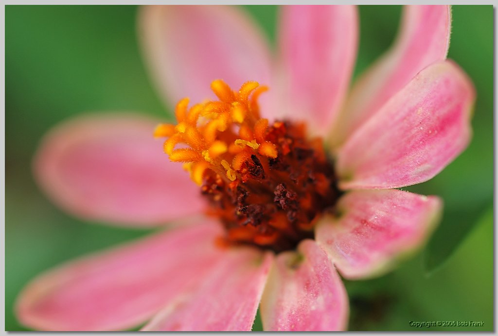 DSC_0068.jpg